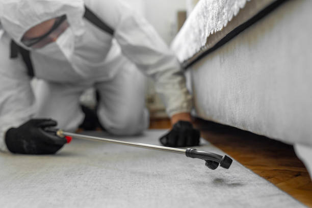 Professional Bed Bug Control technician working in Monfort Heights, OH