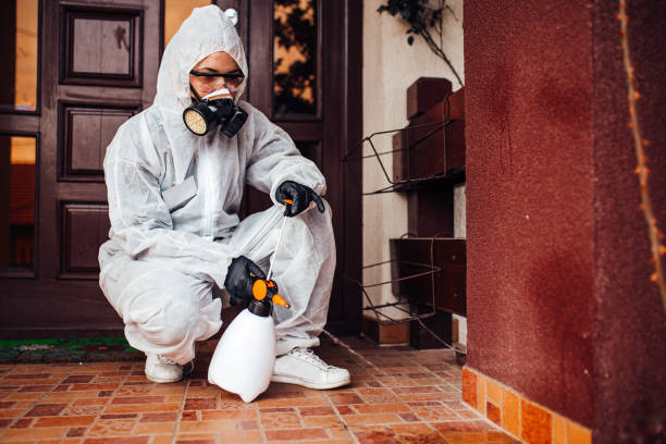 Reliable Bed Bug Control contractor in Monfort Heights, OH by Nex Pest Control