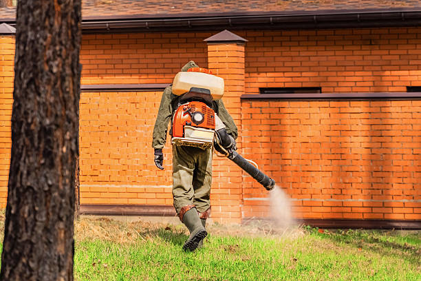 Trusted Termite Control service in Monfort Heights, OH - Nex Pest Control